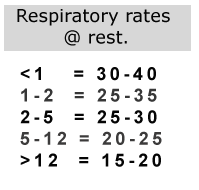 example of respiratory rates